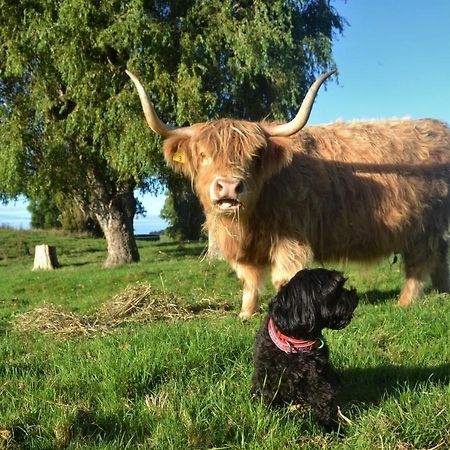 Highlands On Homestead Oamaru Buitenkant foto