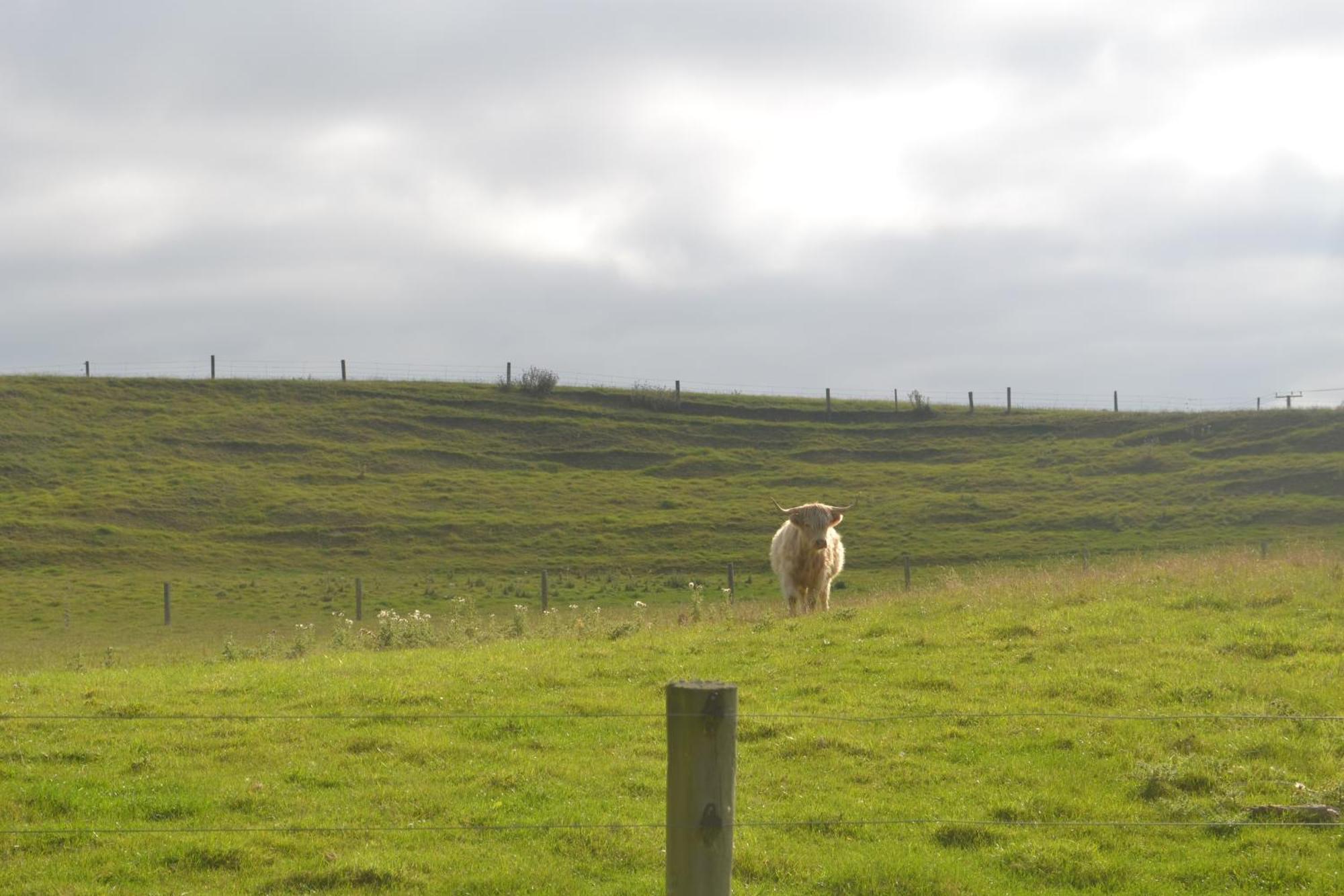 Highlands On Homestead Oamaru Buitenkant foto