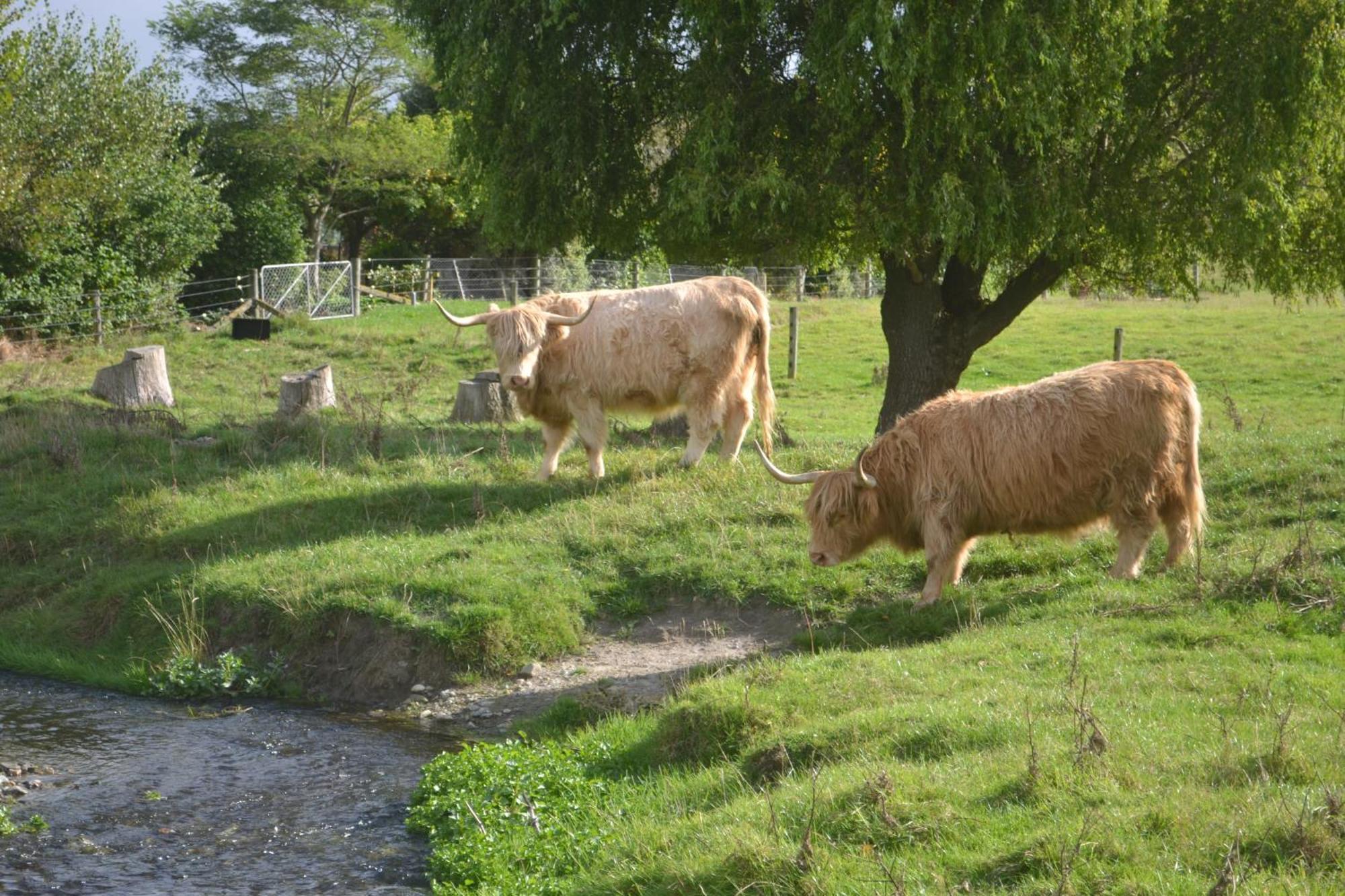 Highlands On Homestead Oamaru Buitenkant foto