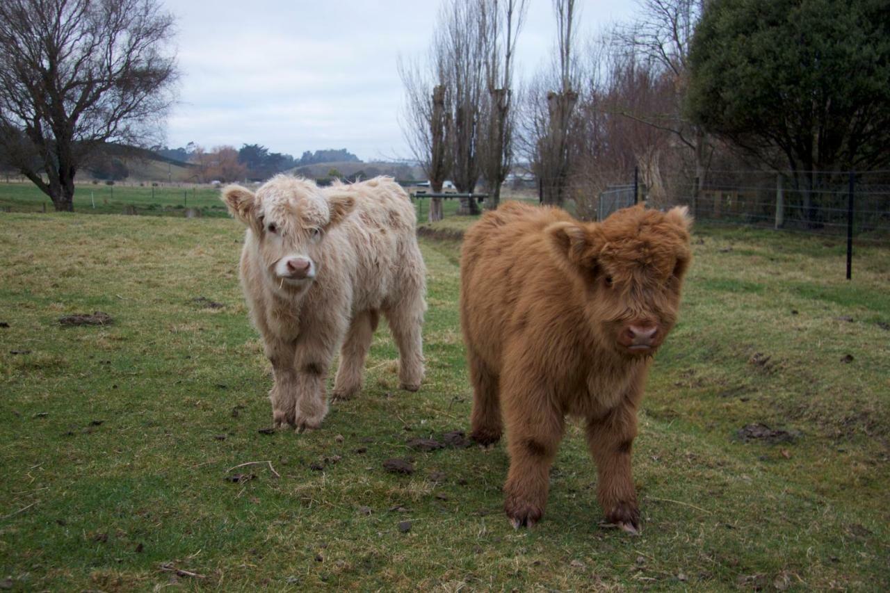 Highlands On Homestead Oamaru Buitenkant foto
