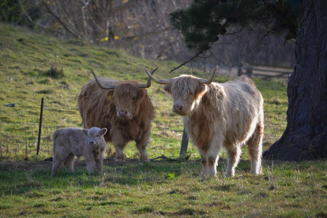 Highlands On Homestead Oamaru Buitenkant foto